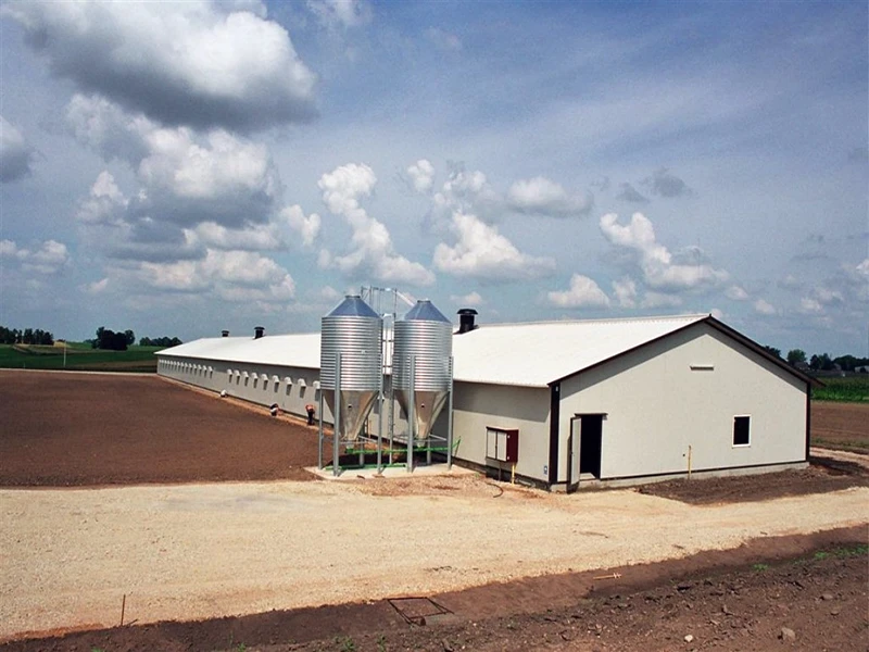 poultry_houses_for_floor_breeding_08 poultry_houses_for_floor_breeding_08